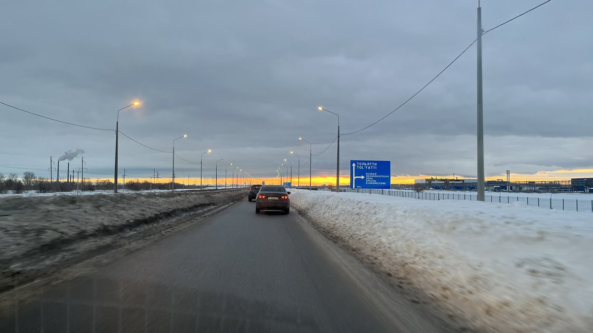 Полли tweet media