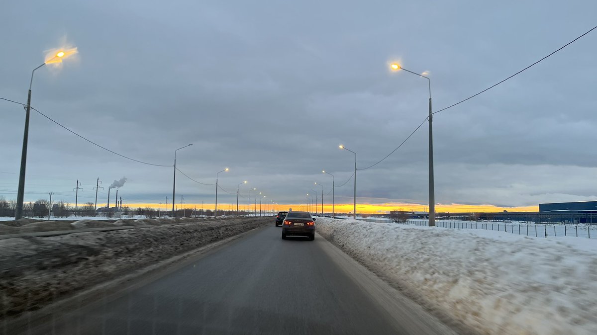 Полли tweet media