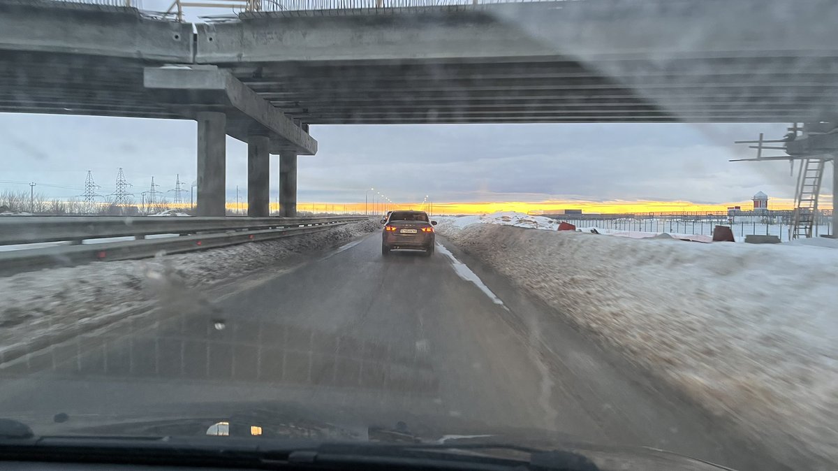 Полли tweet media