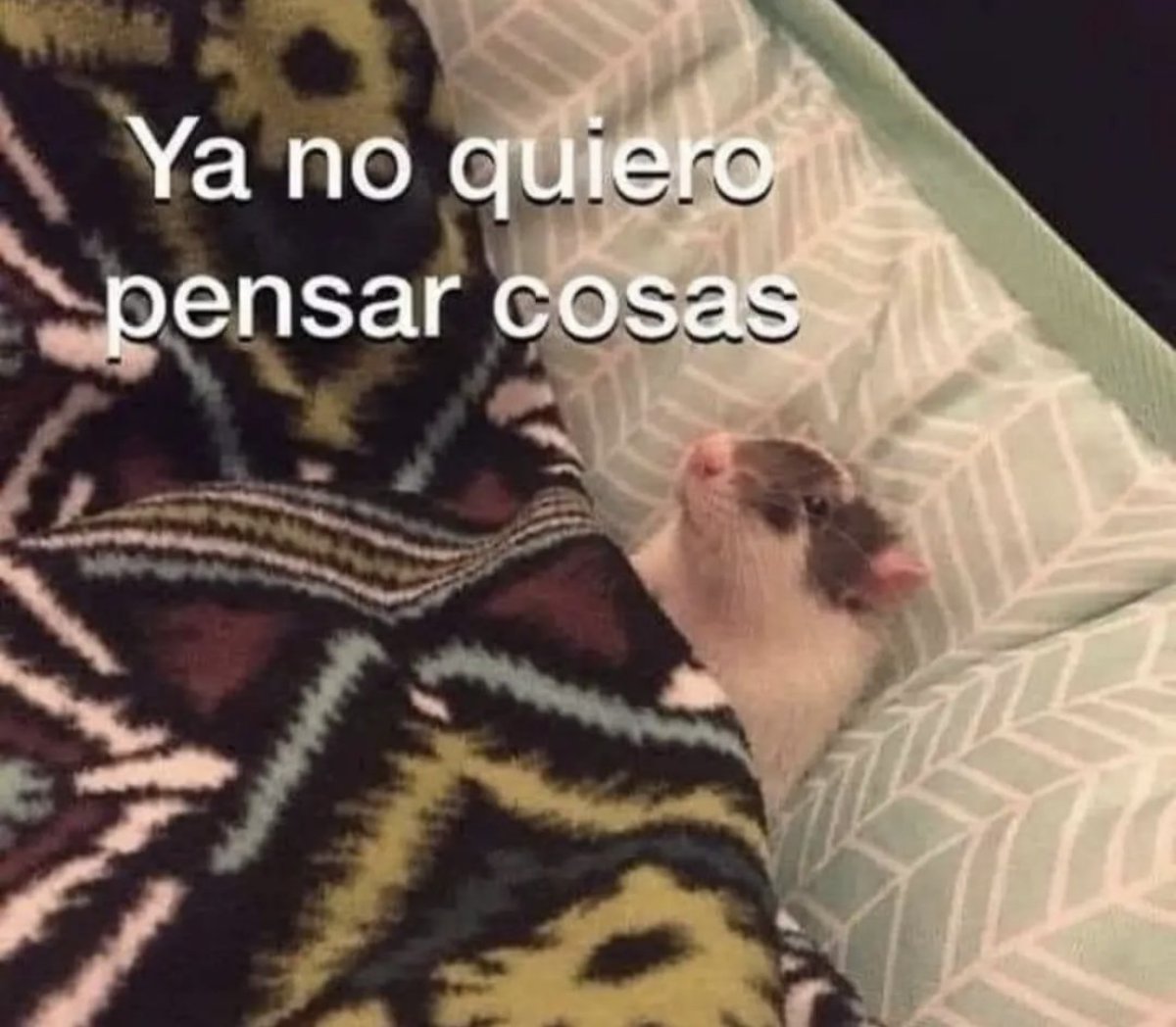 Guarromantico_'s tweet photo. Yo a las 3am en plena crisis existencial: https://t.co/ZOmt3hXu9p