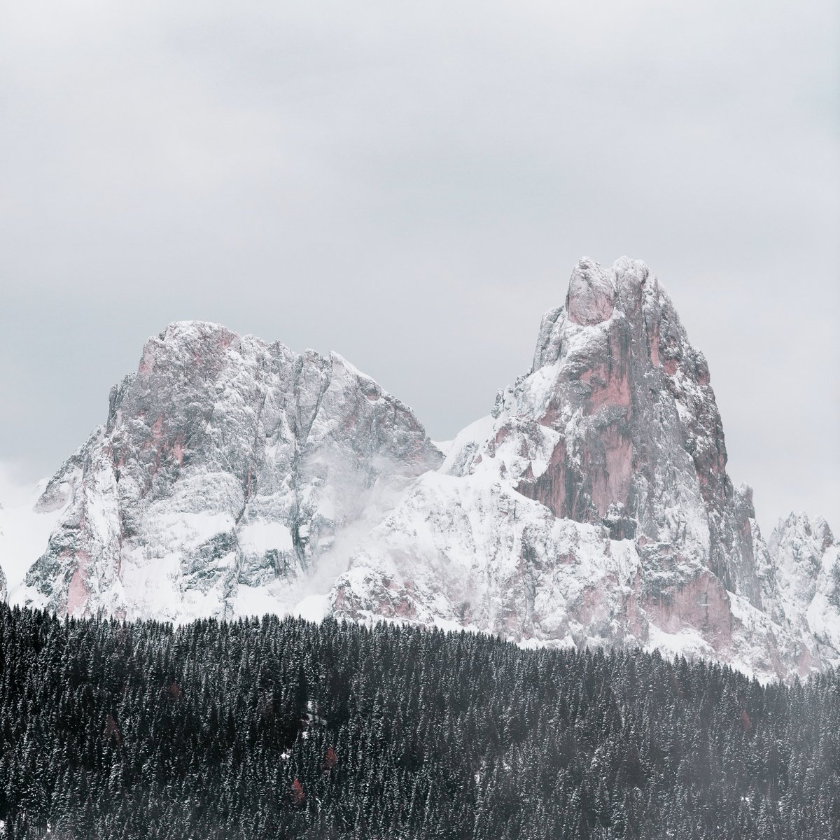 コルティナダンペッツォ Twitter Search Twitter