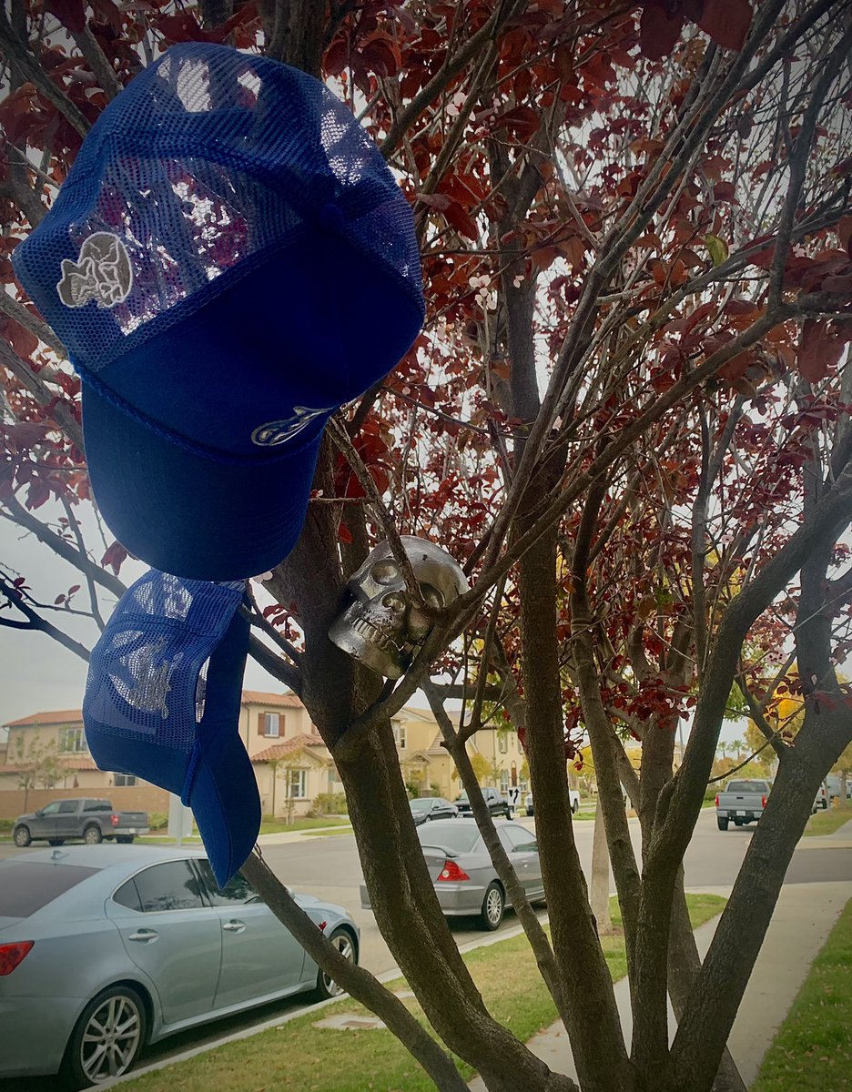 2DIABOLICAL4YOU's tweet photo. ¡🚨GIVEAWAY ANNOUNCEMENT🚨!

Enter our giveaway for 2 FREE Bleed Dodger Blue Trucker Cap’s on IG @d.iabolical2dabone https://t.co/Csvse7cupq