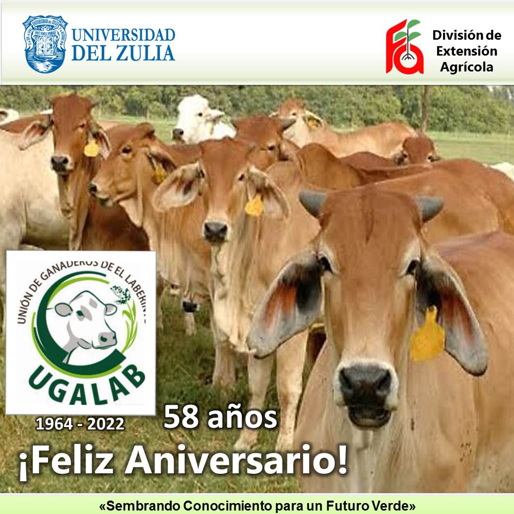 Felicitamos a nuestros amigos de UGALAB por arribar hoy a su LVIII aniversario de creación. Sigamos construyendo país, y realzando ese compromiso ganadero que les identifica.  
.
¡Muchas felicidades!