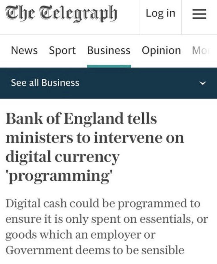 Csilla Brimer ❤️‍🔥🗽🆙 tweet media