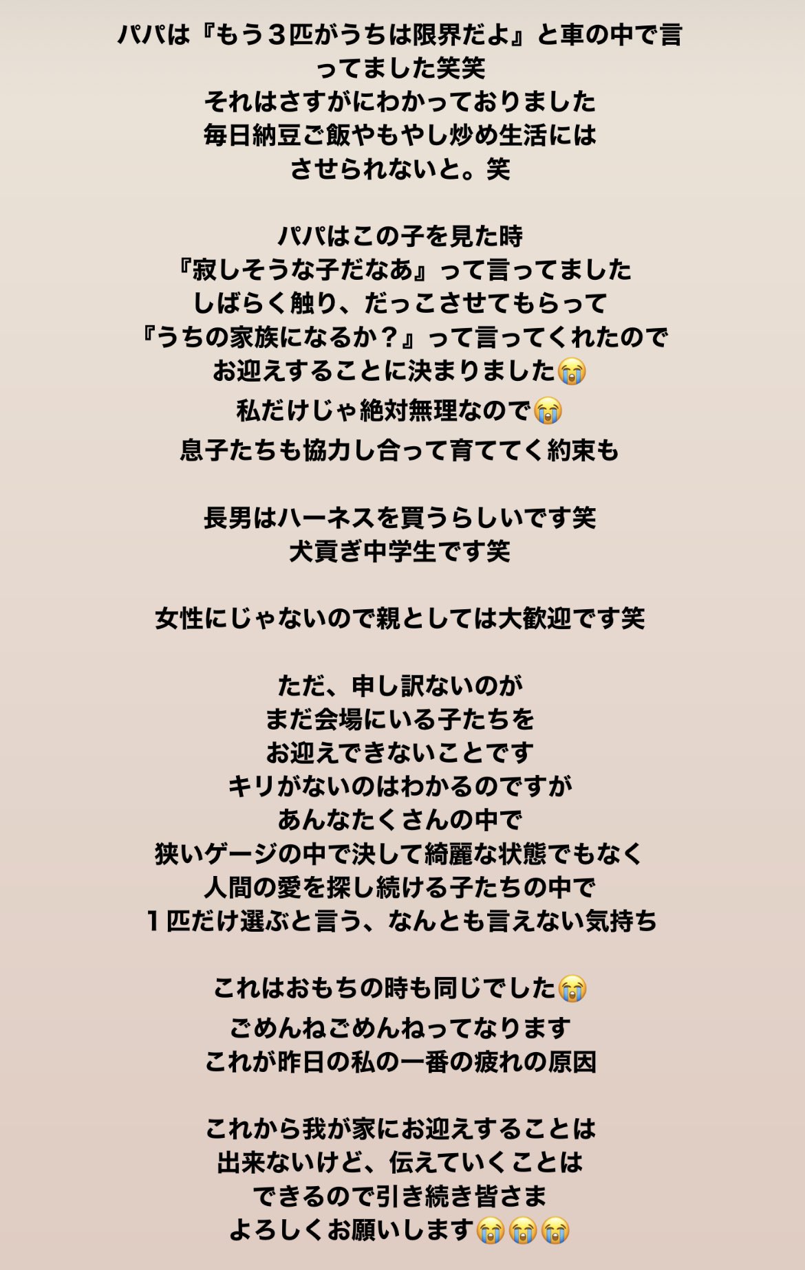 テテ O T E T E Twitter