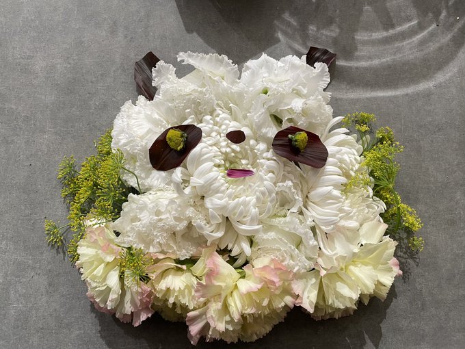Hana Toyoさんのイラストまとめ