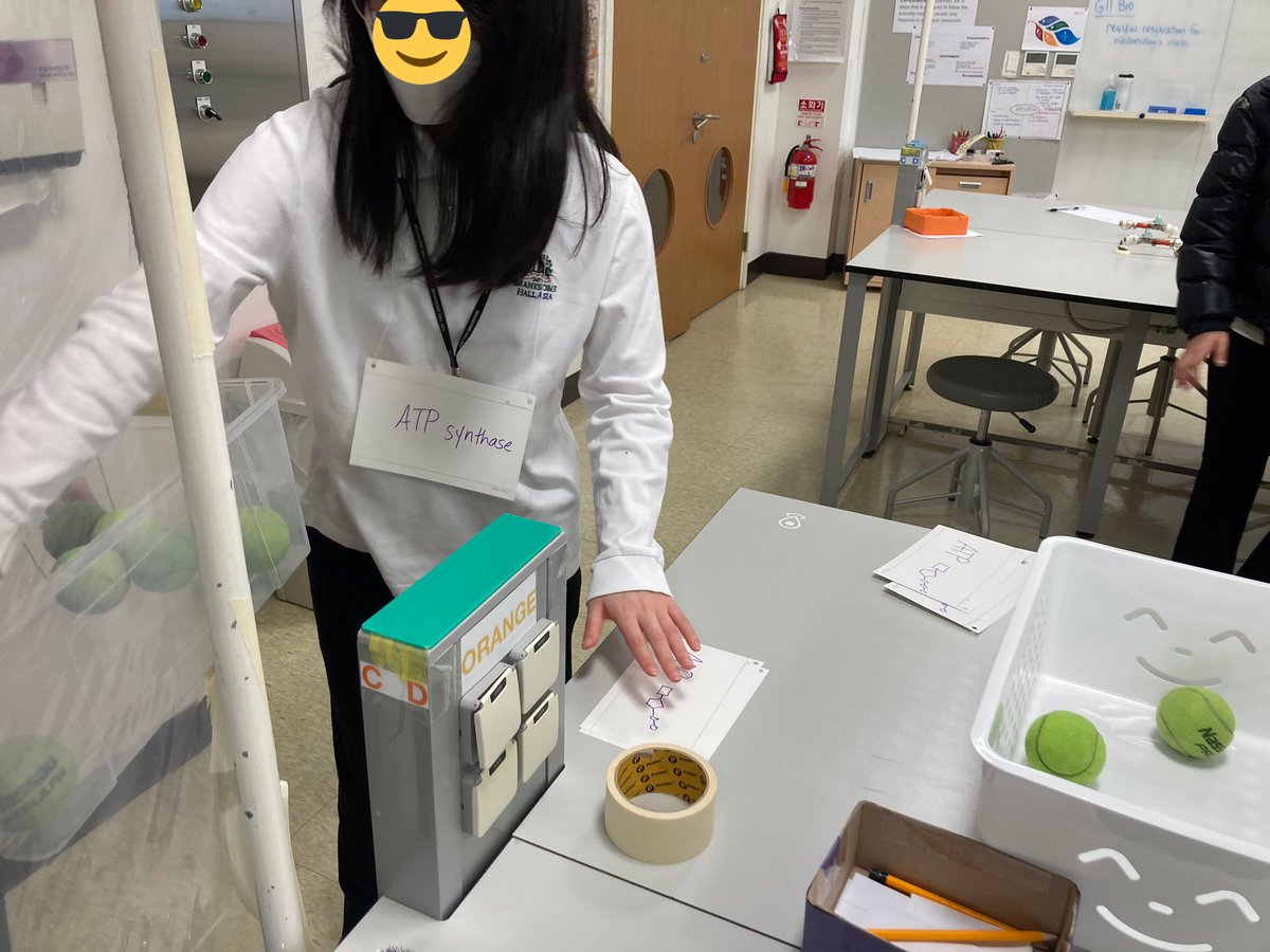 Our amazing Bio HL teacher at #BHA set up this interactive activity where HL students played out the Electron Transport Chain. This was easy to do, and it prompted great questions and conceptual understandings. #DPBiology #HandsOnLearning #LearnByDoing #Biology