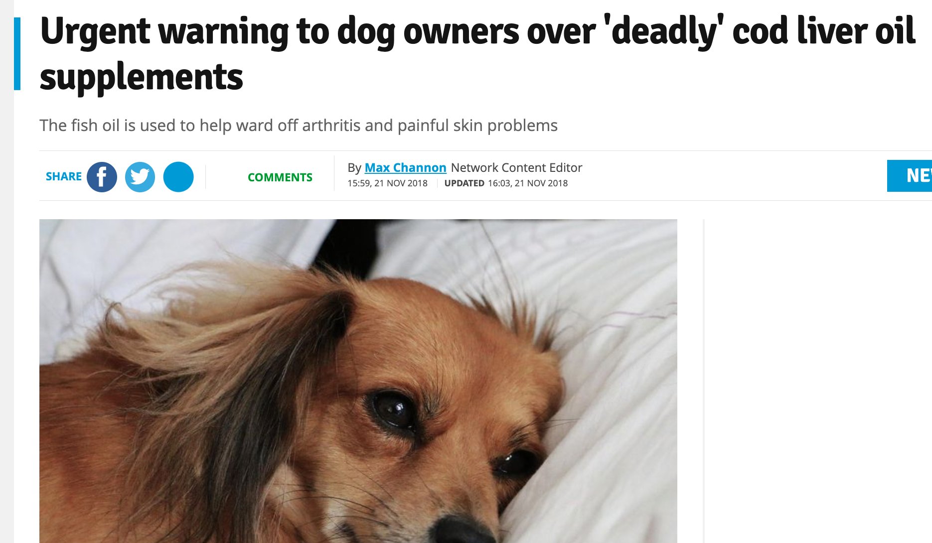 Can Fish Oil Kill Dogs