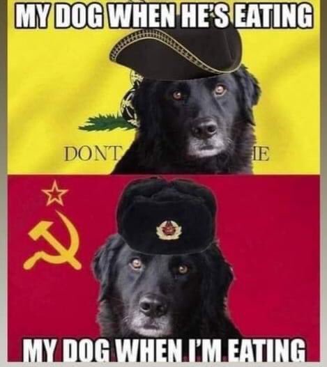 rie 🇩🇰🐾 tweet media