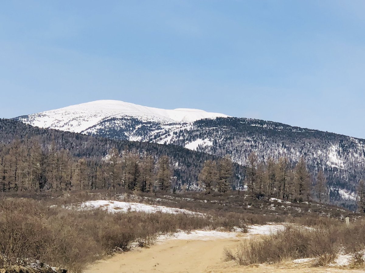 Өглөөний мэнд