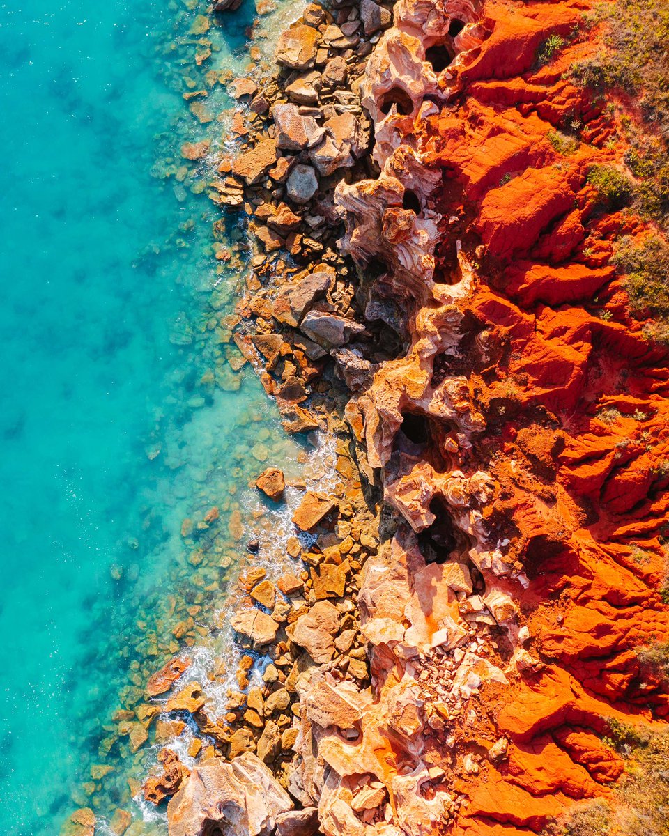 Dylan Alcock tweet media