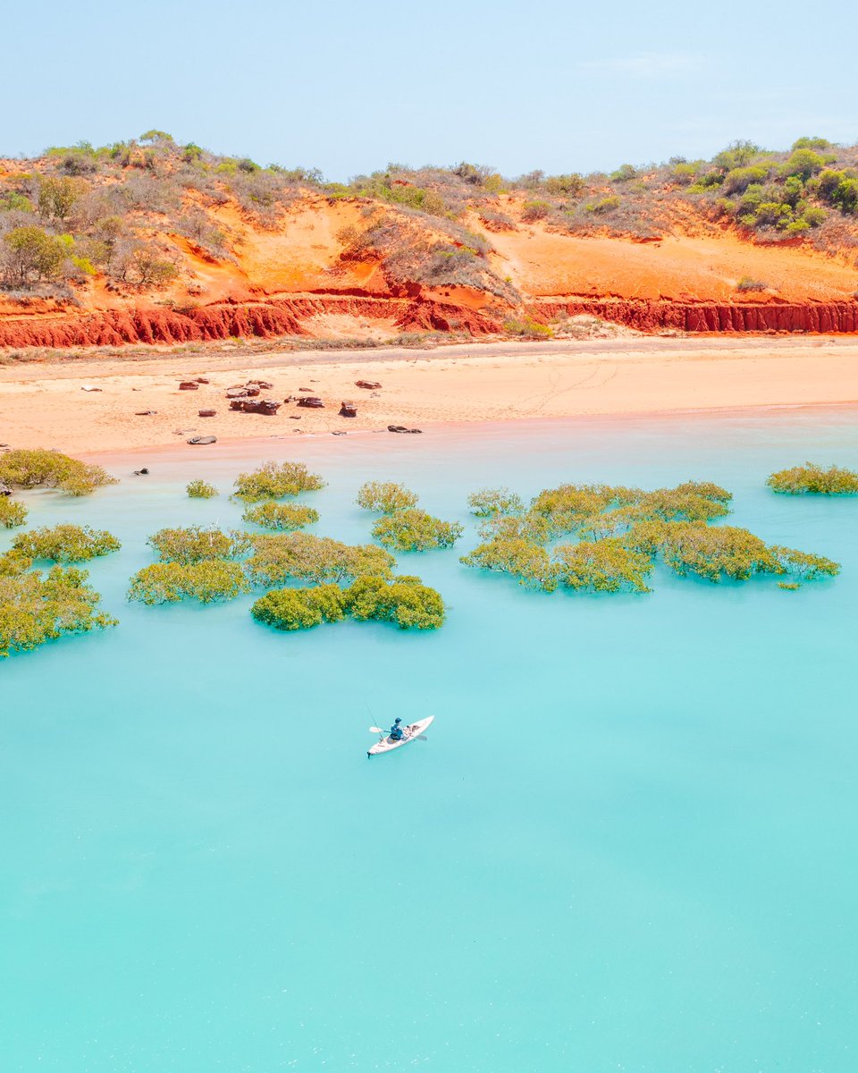 Dylan Alcock tweet media