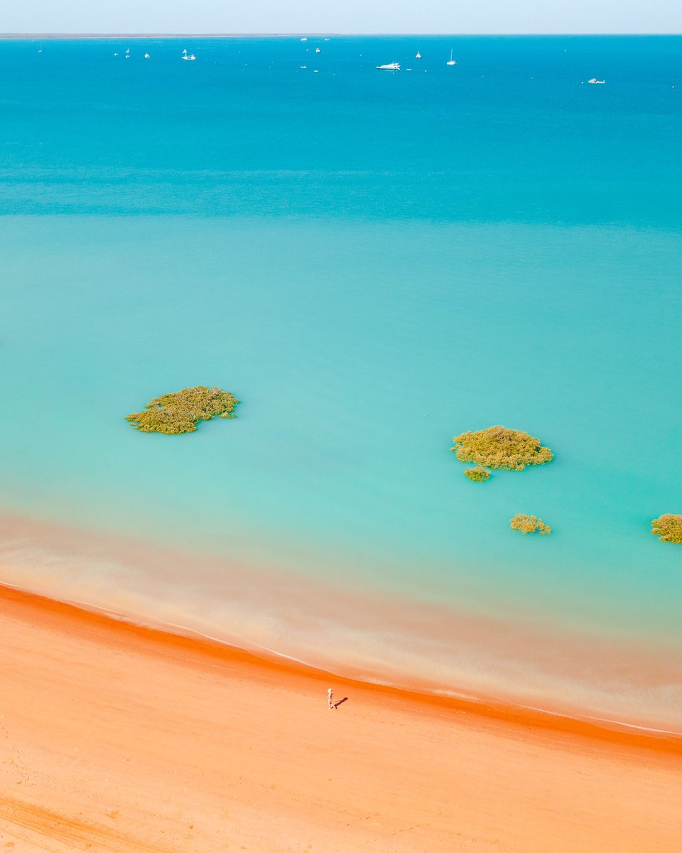 Dylan Alcock tweet media