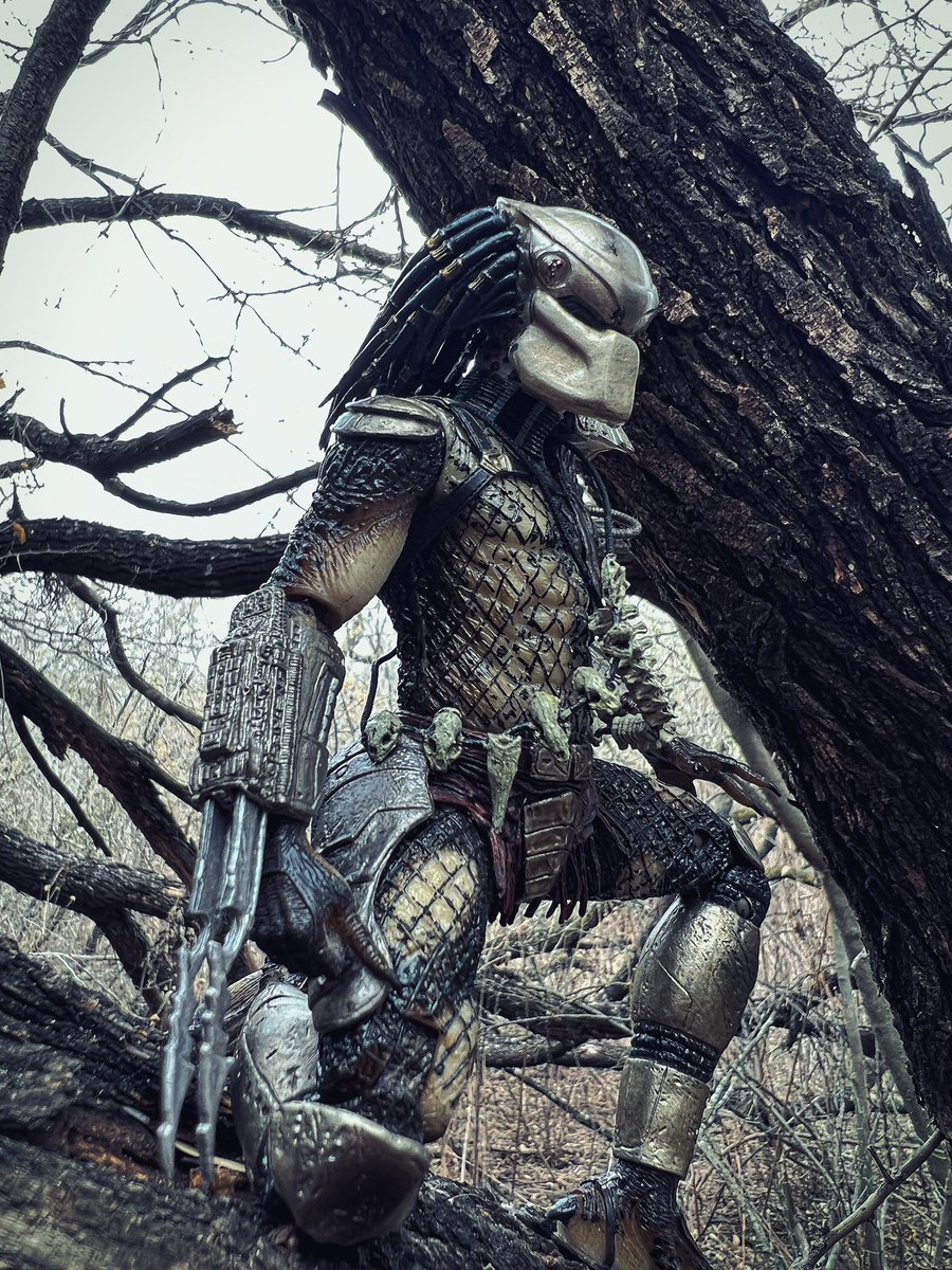 thegr8one85's tweet image. Third is the iconic 87 Predator(Jungle Hunter) by @NECA_TOYS the one shown on the pic isn’t the ultimate version(I should’ve brought it for more pic variety) but hopefully y’all dig these👊🏽 
#Predator #JungleHunter #87Predator