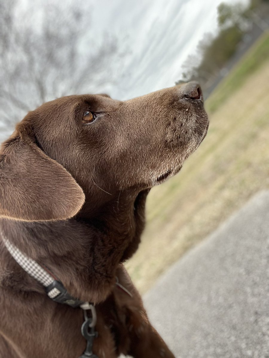 ThatDragonThing's tweet image. Got a new phone and I’m loving the new camera. Anyways here’s my dinner.