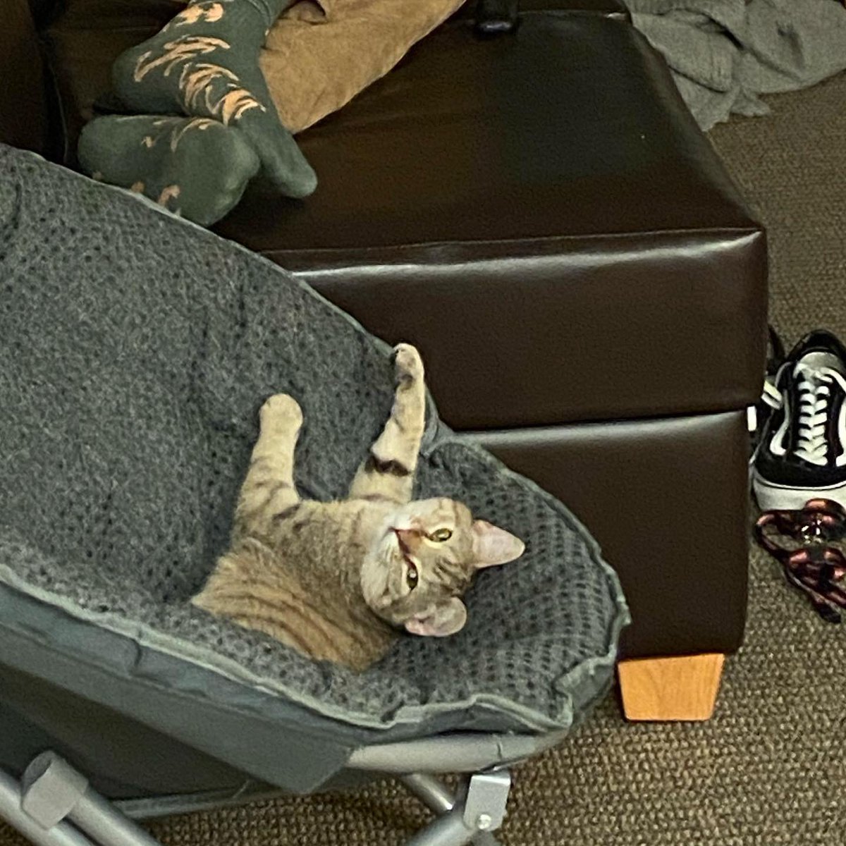 daddychamps's tweet photo. Update-we are besties https://t.co/louQJkGeFf