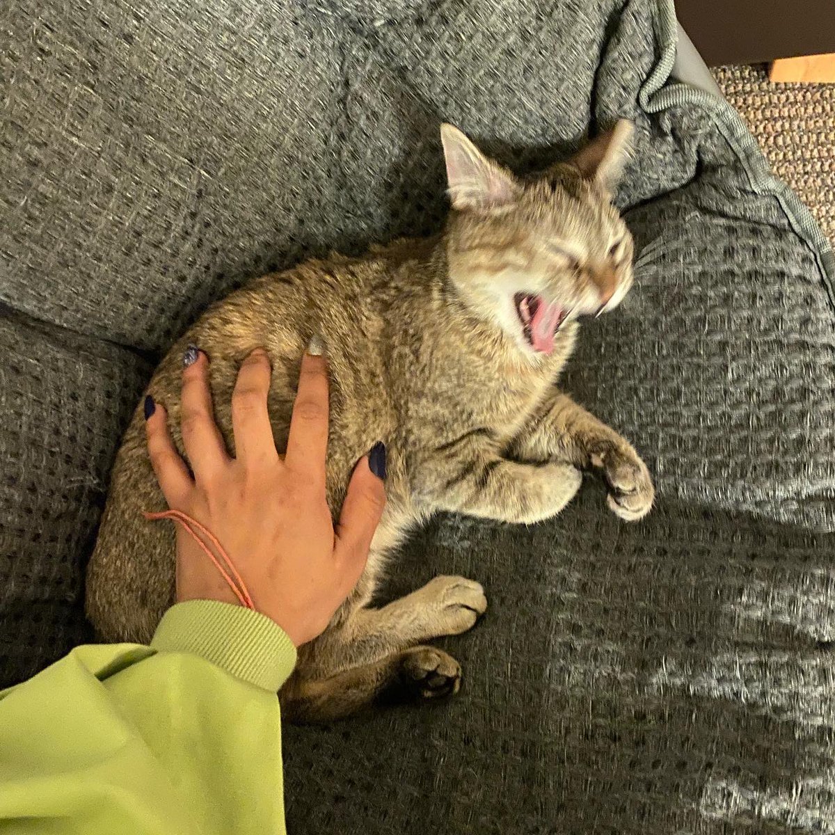 daddychamps's tweet photo. Update-we are besties https://t.co/louQJkGeFf