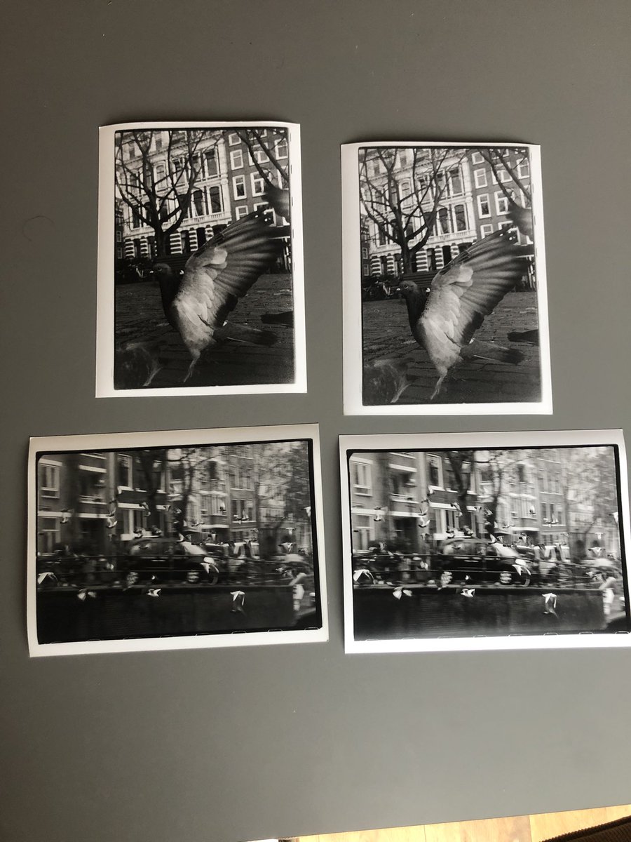 AnalogClubNL's tweet photo. Sunday is darkroom printing day https://t.co/UNyyP5wazb