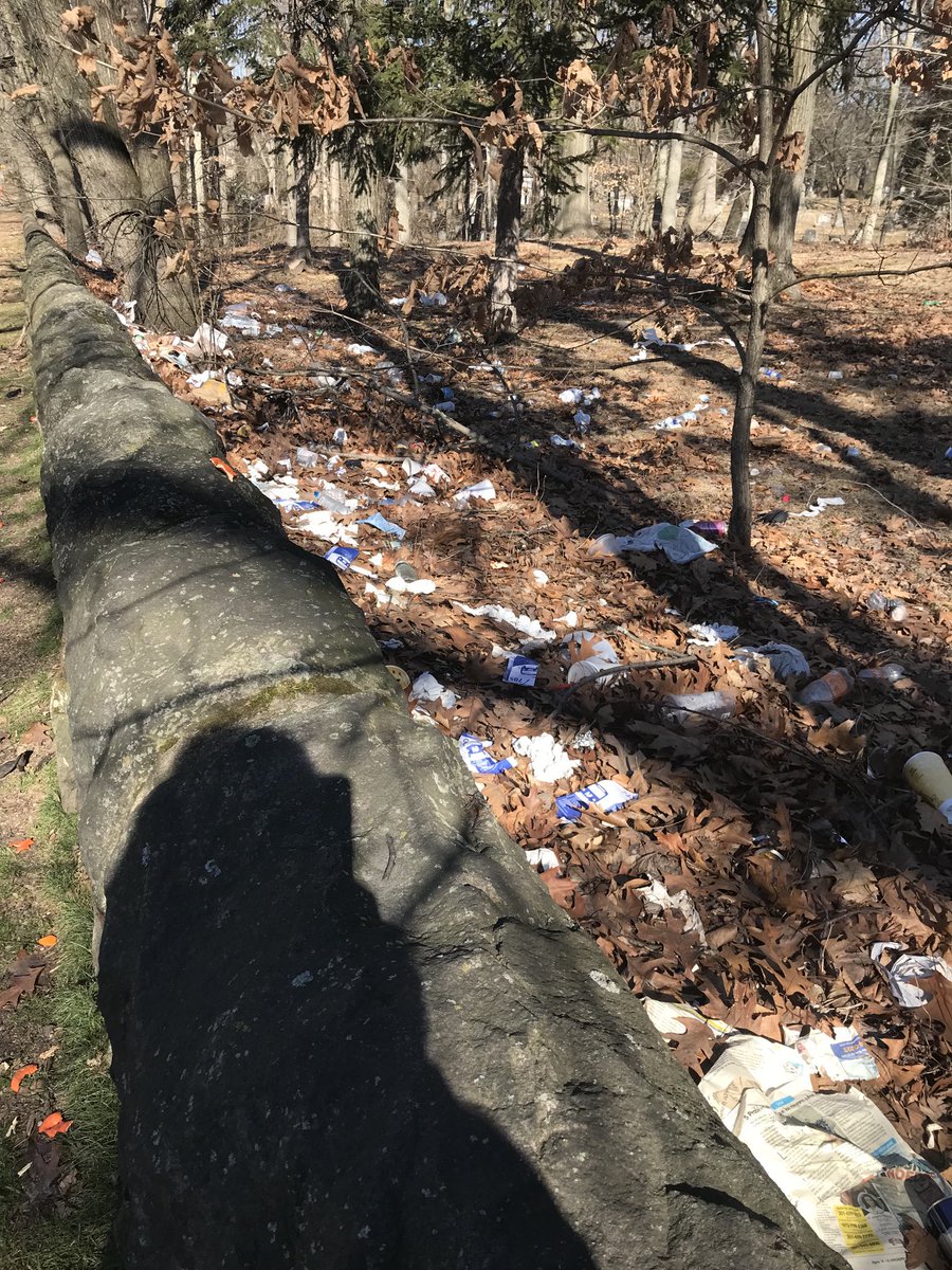 The Milkweed Patch tweet media