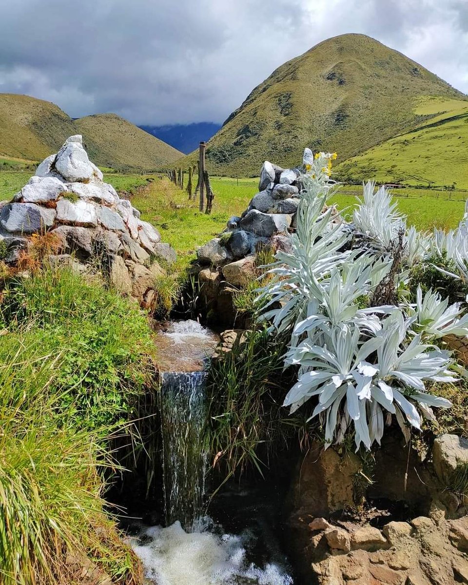 willanRSC's tweet photo. #MaturalmenteEcuadir
Hermosa nuestra 🇪🇨 serranía. El #Cerro #Pilongo en la #Reserva de los #Illinizas https://t.co/KOVzHZ4imO