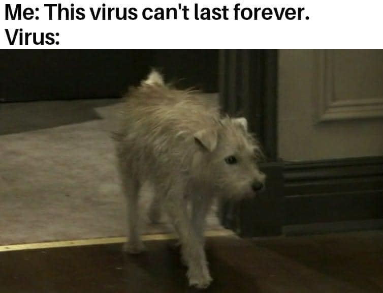 CharlieDayQuote's tweet photo. https://t.co/pHpW6vtwEl