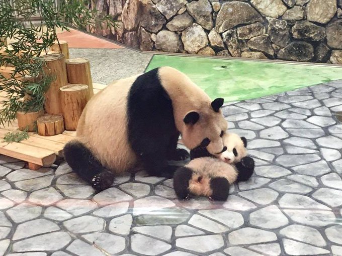 結浜のtwitterイラスト検索結果