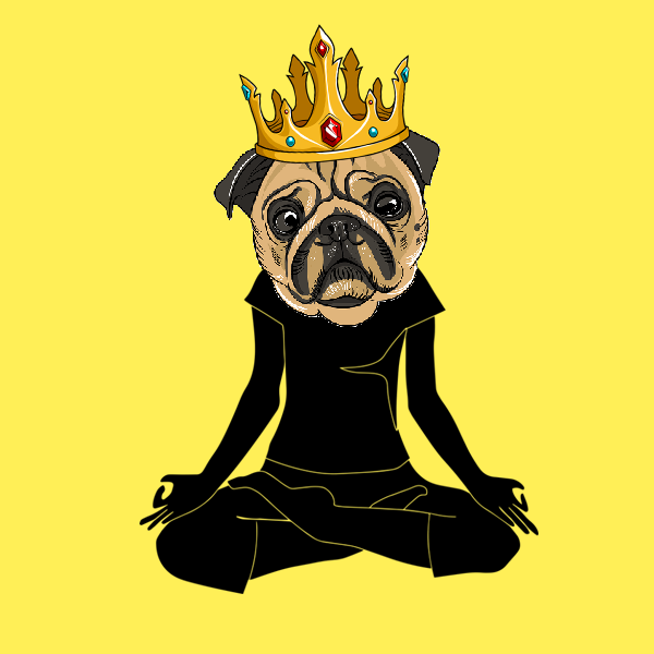 PugObsessionNft's tweet photo. Be the king of the meditation with your beast friend, the king pug 😂🐶.
And remember we´re not bored ape nor cryptopunk, we are Crazy Pug´s 🥰💯
#nft #NFTGiveaway #NFTCommunity #NFTartist #nftcollectors #NFTCollection #nfts #puglife  #Metaverse #puglovers #opensea https://t.co/jYHrrFWM0I