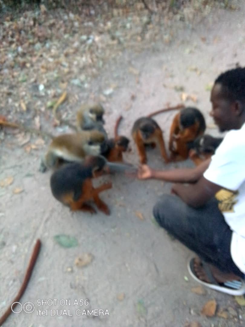 bujujallow2's tweet photo. https://t.co/dz7YqpuAp2