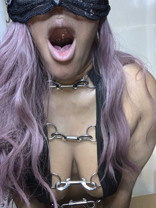 Sticks and stones may break my bones but chains and whips excite me https://t.co/kJQjrm91c7<a href="/tag/newprofilepic"class="tags"><span>#newprofilepic</span></a>