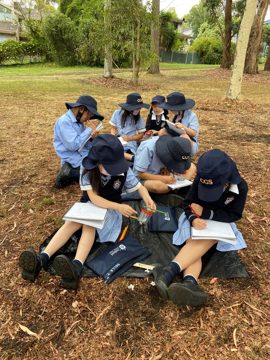 Scoff222's tweet photo. Today we continued Nature Journaling, as curious learners, making scientific observations within our amazing school grounds. #STEM #curiouslearners @caulfieldgs https://t.co/UOaoUUAukC