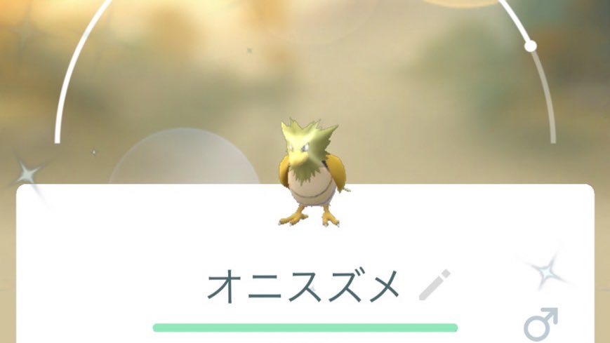 تويتر 綺姫 على تويتر サボっている間ポケgoが仕事してた オニスズメとバルビートの色違いゲットしてました オニスズメは前に捕まえた事あるけど バルビートは初です ポケモンgo オニスズメ色違い バルビート色違い T Co Alek8brblg تويتر 綺姫 على تويتر サボっている間ポケgoが仕事してた オニスズメとバルビートの色違いゲットしてました オニスズメは前に捕まえた事あるけど バルビートは初です ポケモンgo オニスズメ色違い バルビート色違い T Co Alek8brblg