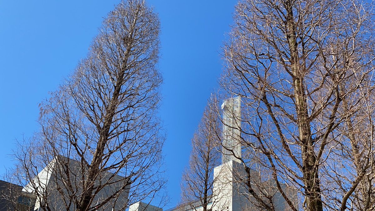sgbert0203's tweet photo. 今日はいい天気です。
朝の民法（共有）の勉強おわり、妻のサロン物件探しがてらお散歩でい。 https://t.co/ZLEFu1LMla