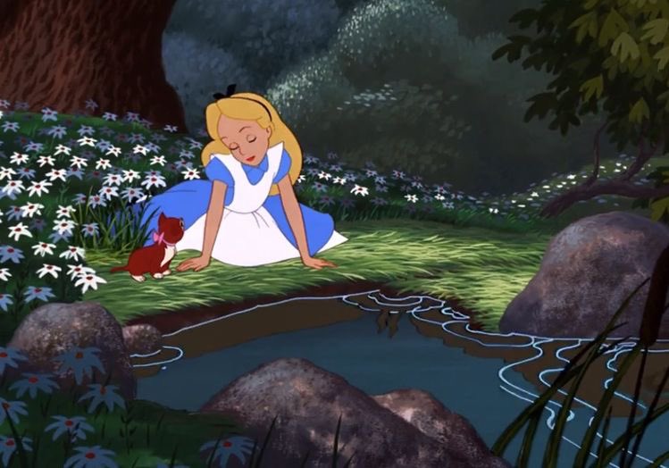 faedust2's tweet photo. Happy Sunday! (Oh to be in a cartoon flower field) #My Sunday #fairytale #fairycore https://t.co/M38SghTH2x
