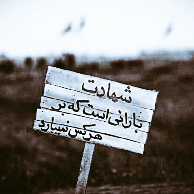 MujtabaHadi_MH's tweet photo. #شهادت بارانی است کہ بر ھر کس نمیبارد
شہادت ایک بارش ہے جو ہر کسی پر نہیں برستی 
#شهادت https://t.co/dAoQ9NuZh1
