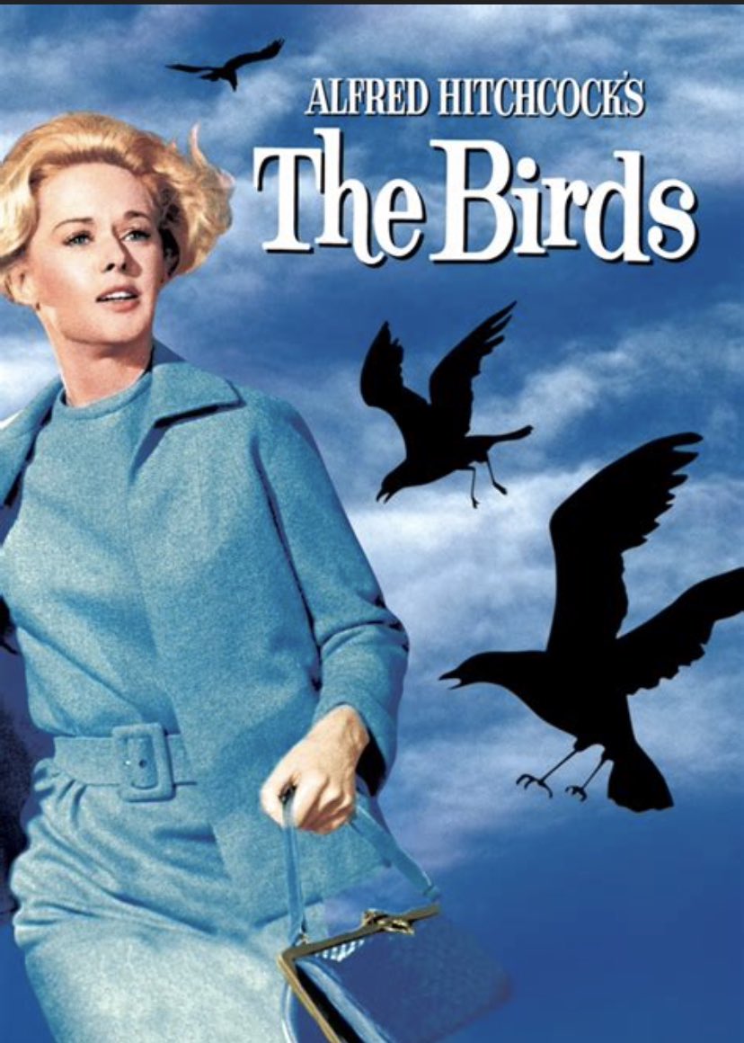 Птички пиксар. The birds 1963. The birds 1. Хичкока «птицы» (1963. Птицы хичкок кадры.