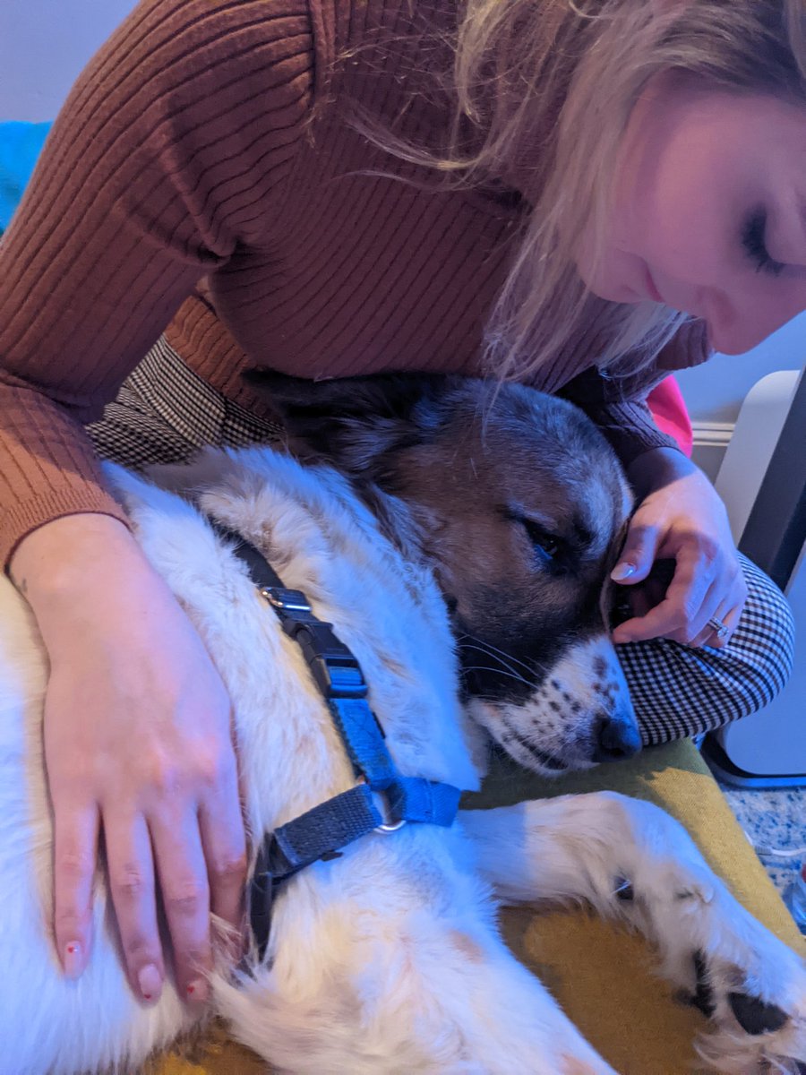 JSTechThing's tweet image. Can we start a #whyiwork hashtag? I wanna see why y&apos;all are working so hard in #web3