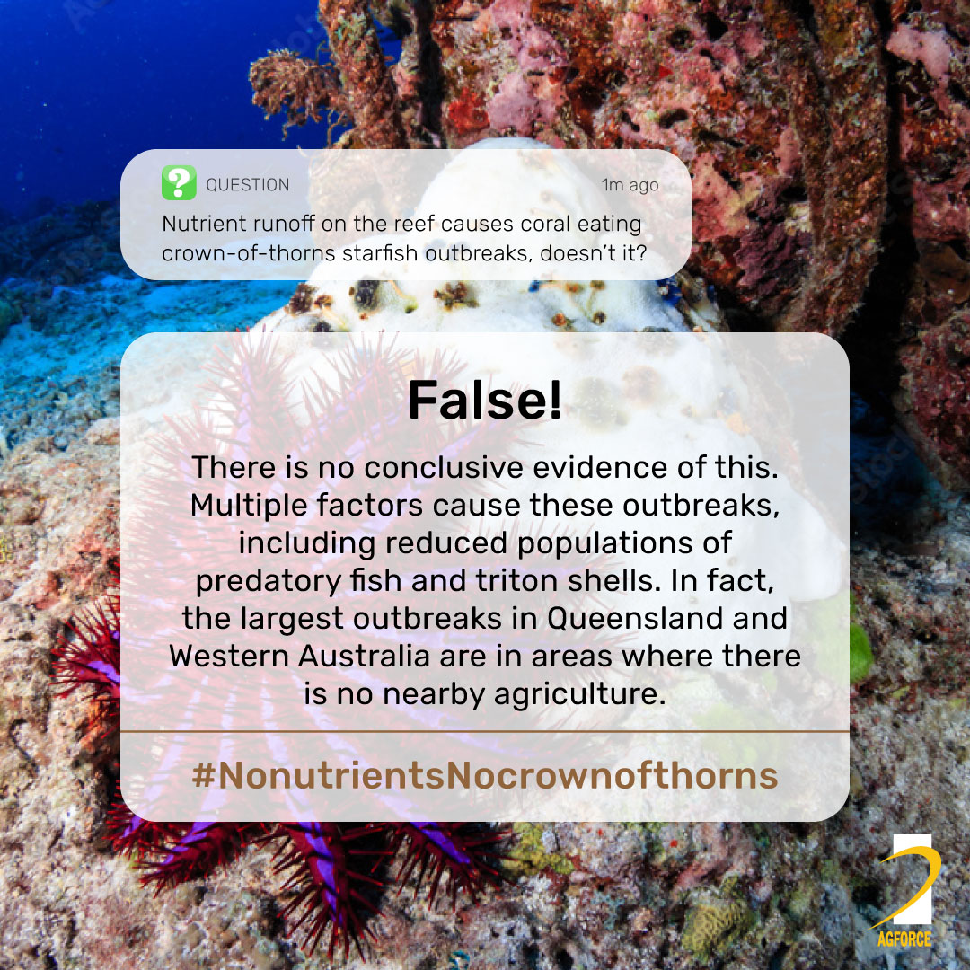 AgForceQLD's tweet photo. #NonutrientsNocrownofthorns #agforceqld #AgForceLife #agriculture #reef #reefscience #greatbarrierreef #farmers #farming #farmlife #Myth #mythbusting https://t.co/FvwYfRH6Kg