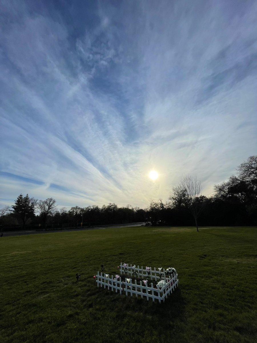 isabelaraaa's tweet photo. Upgraded my grandmas grave today because it was very plain. When I was leaving I looked back and saw the sky like this. Que bueno que le gusto abue, la quiero mucho 🕊🤍 https://t.co/FY7PgTcvFR