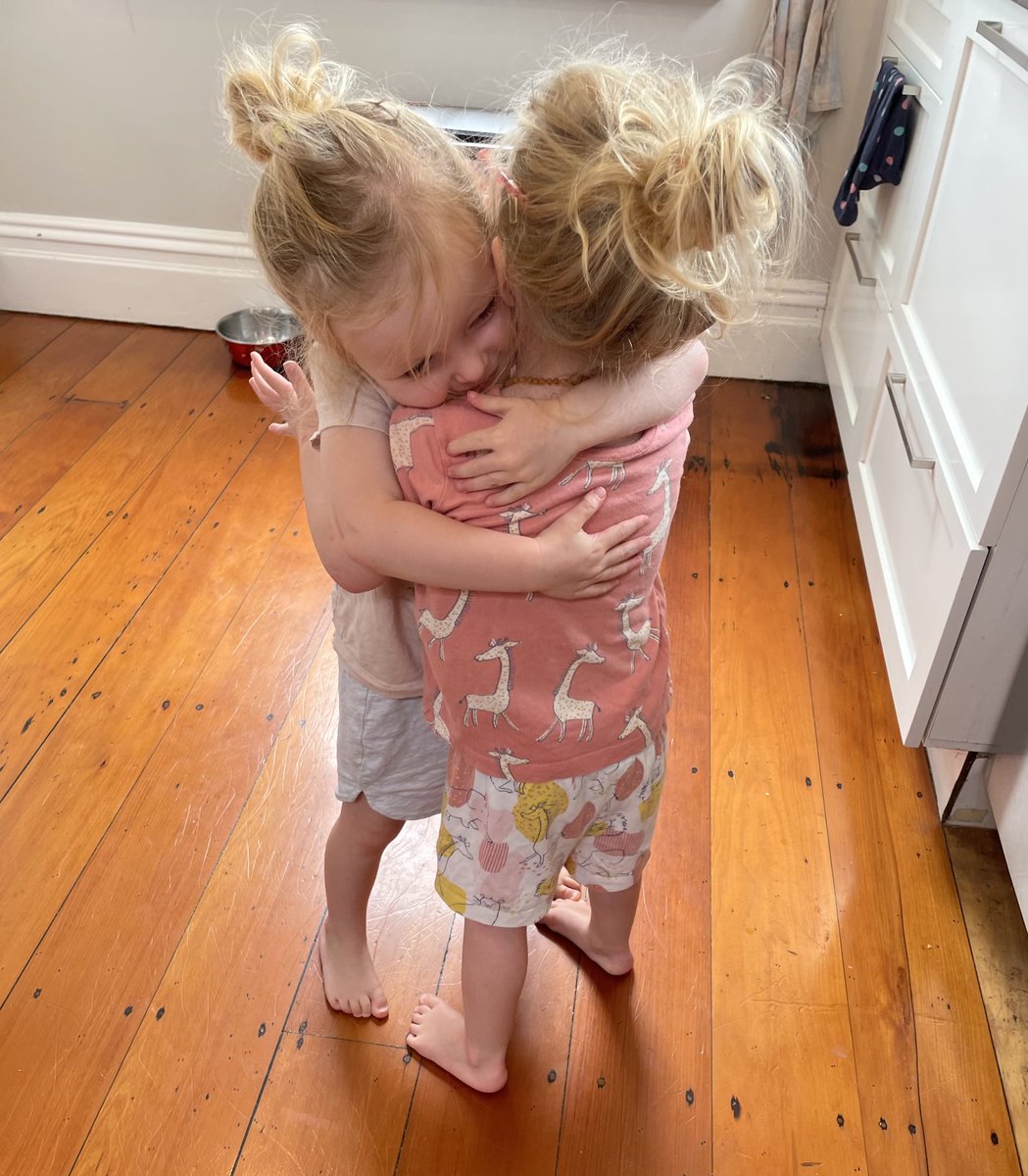 TwoPaddocks's tweet photo. TWINS ! Make you kind of wish you’d been a twin too ? Whatever, the message is - just give ‘em a hug, ok ?  #granddaughters  #twins big #hugs #love https://t.co/Pv7TSKBLfk