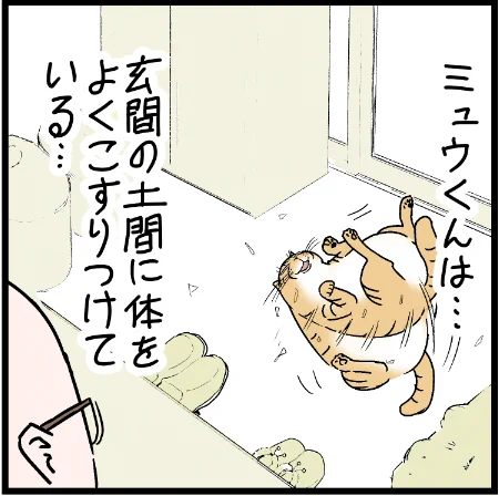 オマエ、なぜそういう順で行動するの!?笑 #ニャンコ #まんが #猫 #猫あるある #猫漫画 #ペット #飼い主 #エッセイ漫画 #キャット #ねこのいる生活 #4コマ 