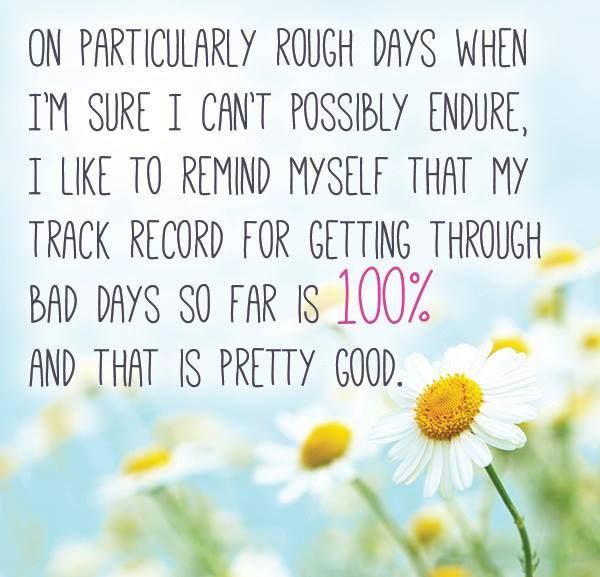Lizzie_Lu2's tweet photo. @AnberMahboob Best wishes for brighter days ahead! 💗🌻🌼 https://t.co/RN0GqF5rG2