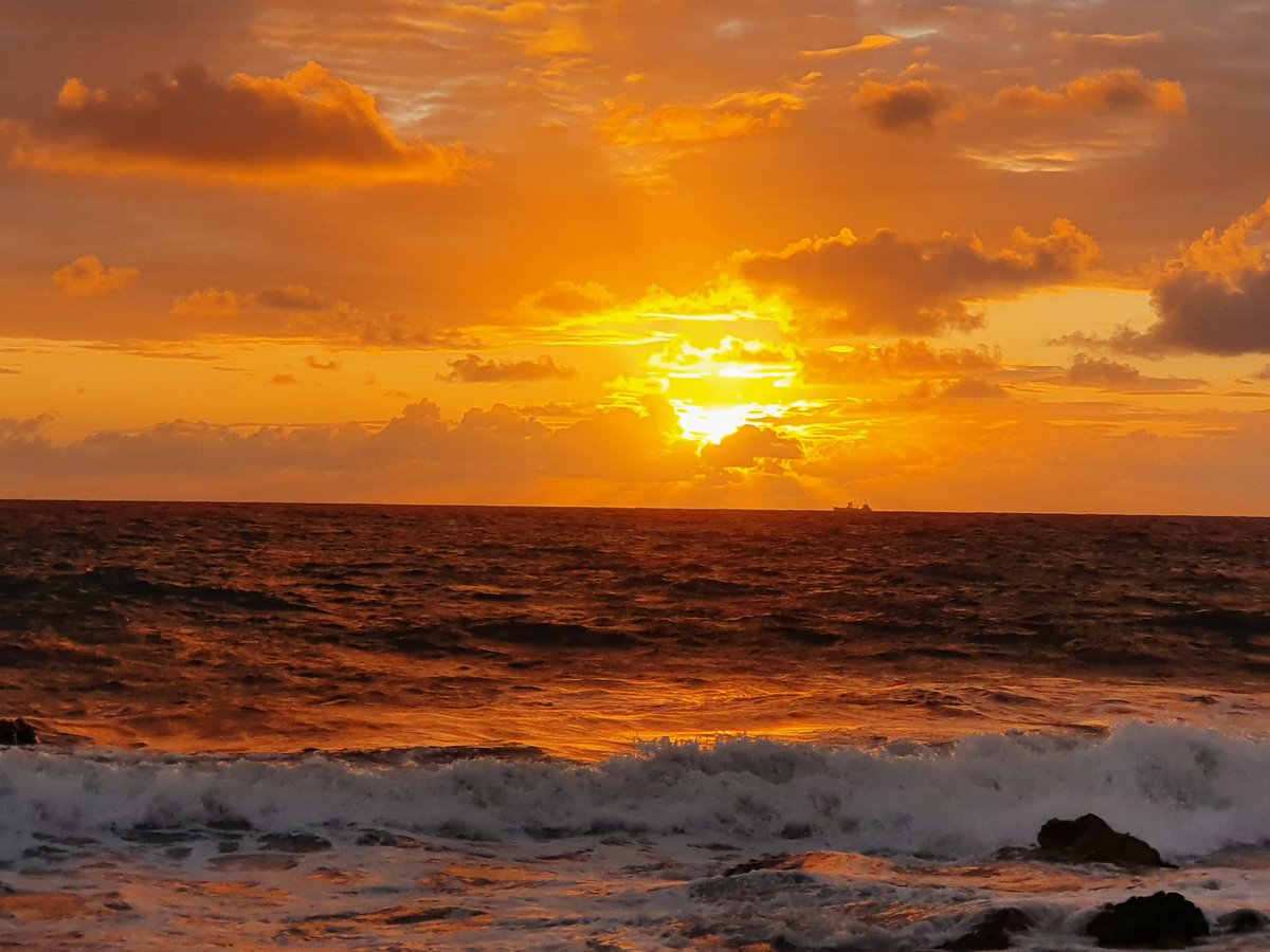 동해 

해오름 ❤️해무리♡