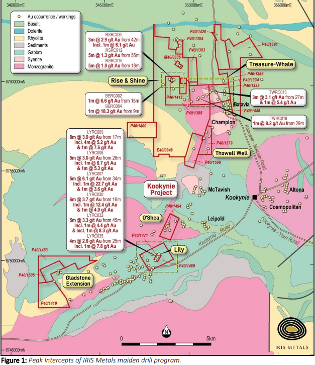 IrisMetals's tweet photo. High grade, shallow #gold across tenure from $IR1 #IR1 maiden RC program at #Kookynie Gold Project.
⚒️8m @ 3.9g/t from 17m
⚒️5m @ 6.1g/t from 34m (inc. 1m @ 22.7g/t)
⚒️5m @ 3.0g/t from 26m 
⚒️6m @ 3.7g/t from 16m (inc. 1m @ 12.4g/t)
⚒️5m @ 3.3g/t from 45m
⚒️1m @ 18.3g/t from 9m https://t.co/Oe4IbZPo4c