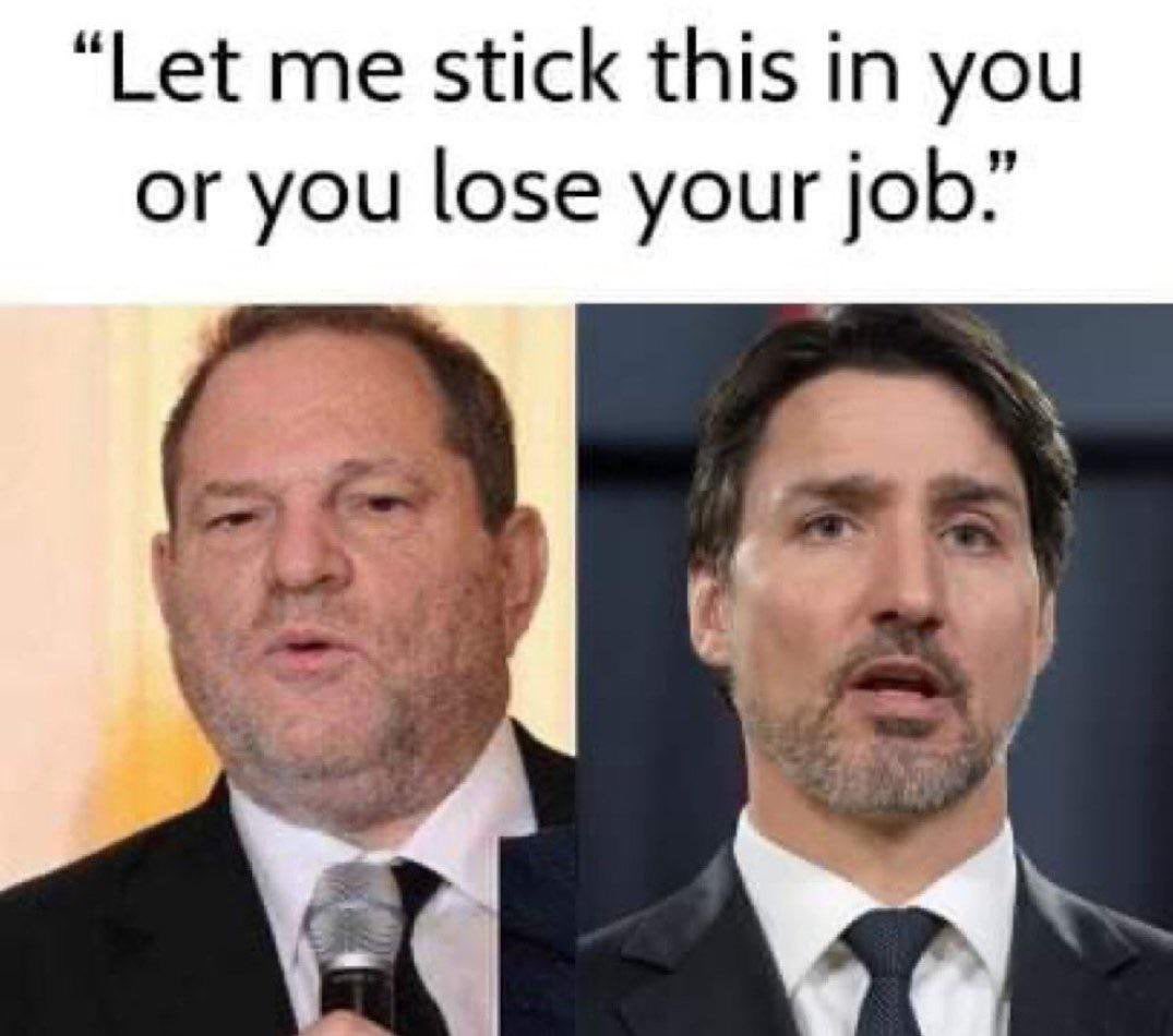 1seven7six's tweet image. You treasonous enemies of humanity deserve whatever the penalty for traitors is after trial.

#blackfacehitler @JustinTrudeau #EnemyOfThePeople