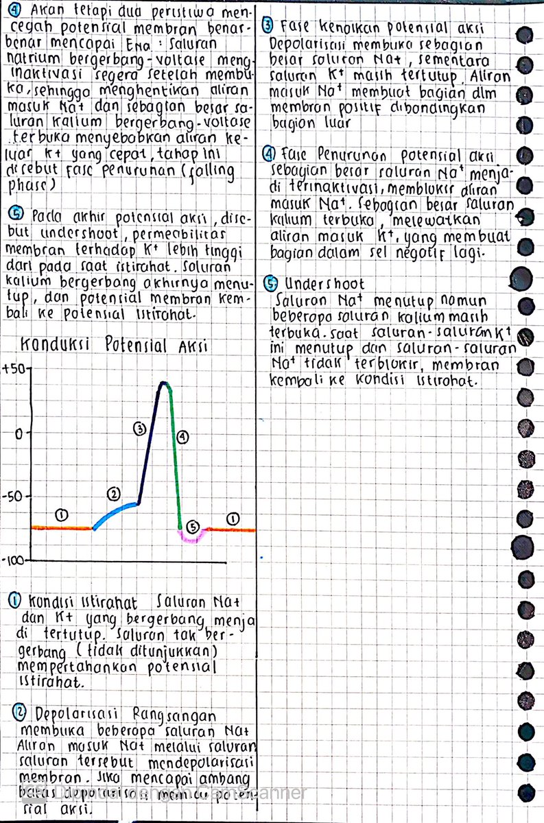 Sistem Saraf 🧠⚡️                                               Biologi kelas 11                                               Sumber : Ruangguru &amp;buku Campbell📚selamat belajar📚