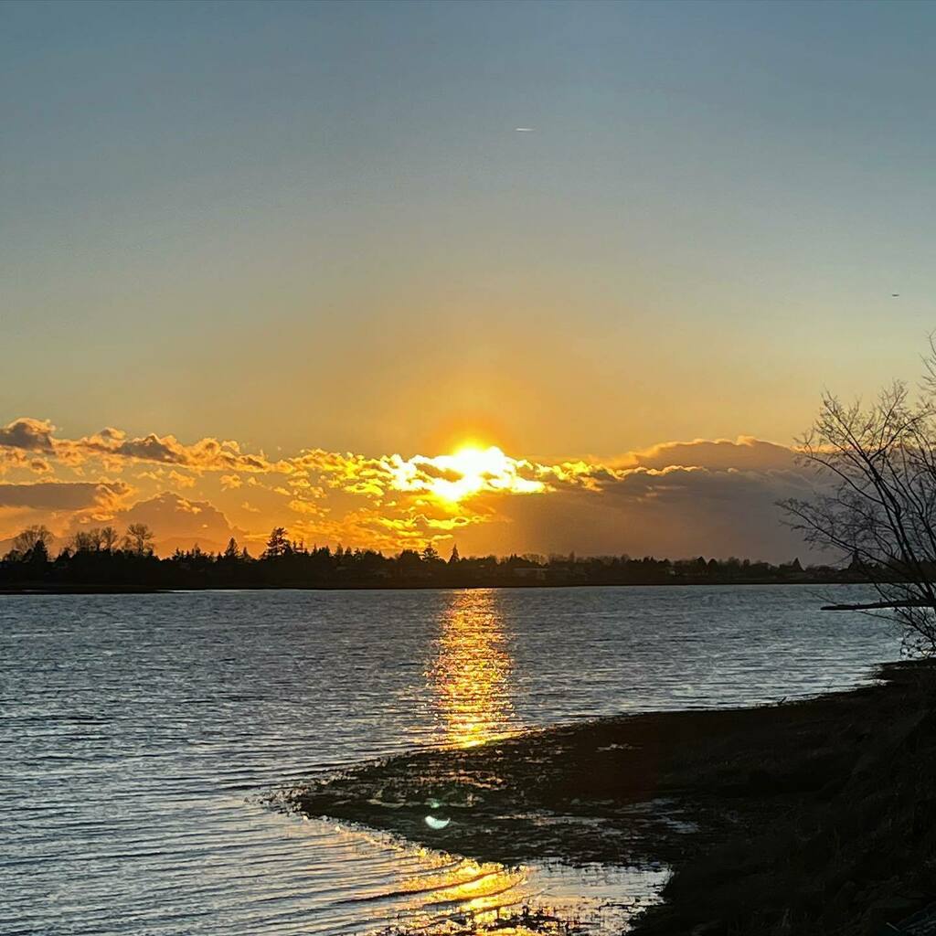 Sun sets on Sunday, by the shore of the #MightyFraser 

#sunset #settingsun #daysend #sunshine #sunday #fraserriver #shoreline #clouds #weather #solar #sol #richmondbc #seaisland