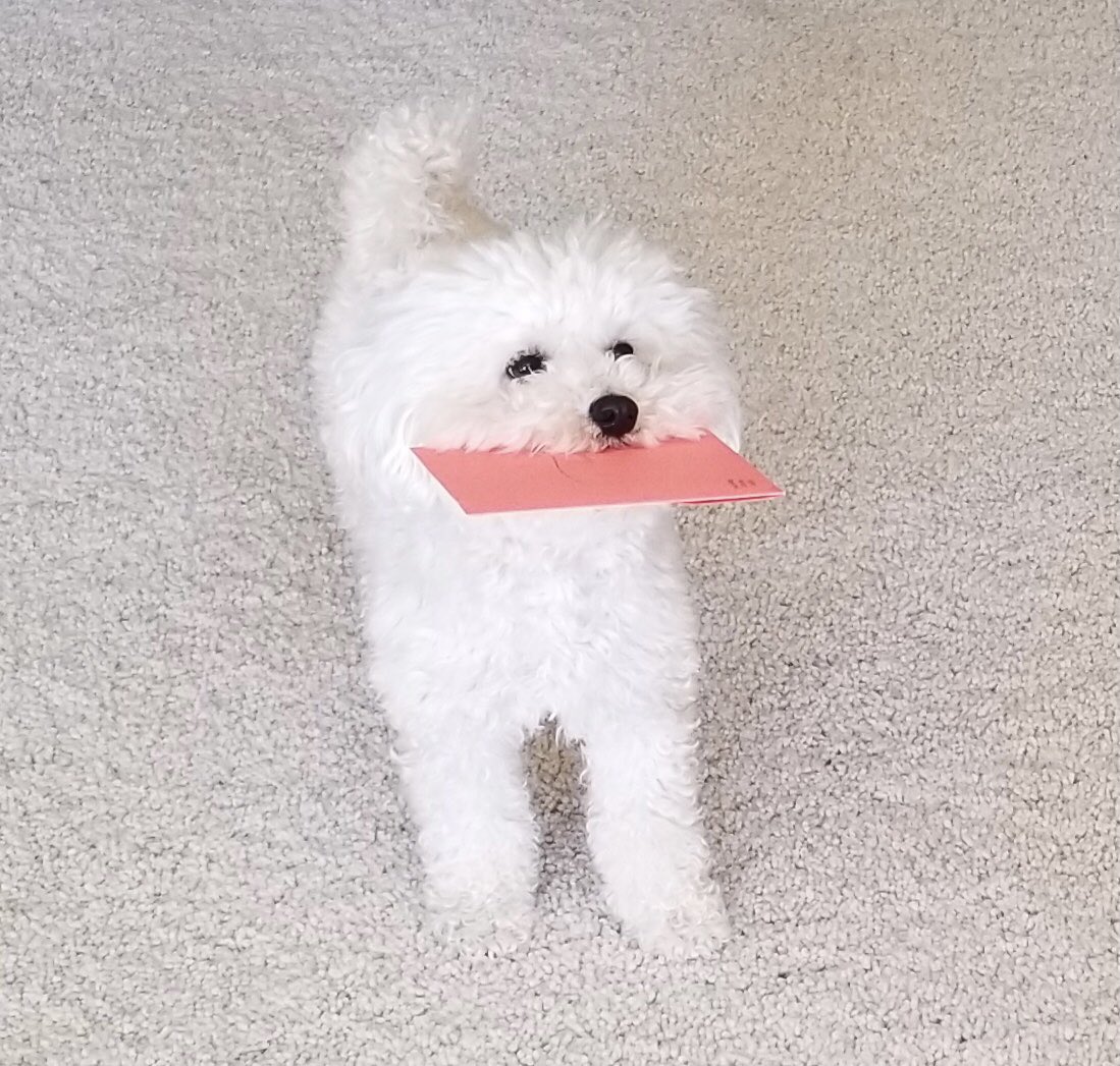 How it started in 2013…How it’s going in 2022…#NationalLoveYourPetDay