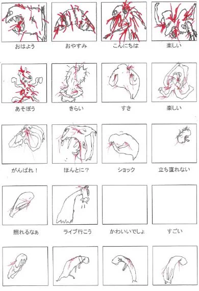 数字では伝わらないので最終的に絵で教えてくれそう 