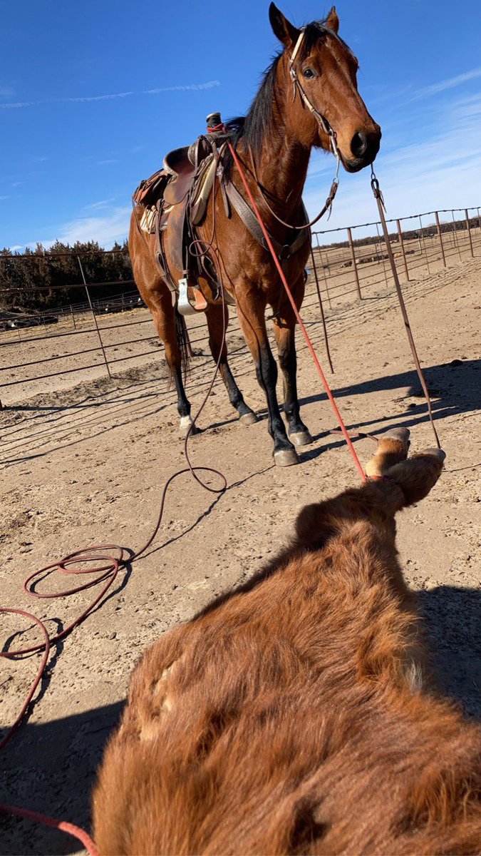 About a perfect day for mid February,Elvis thought so too!