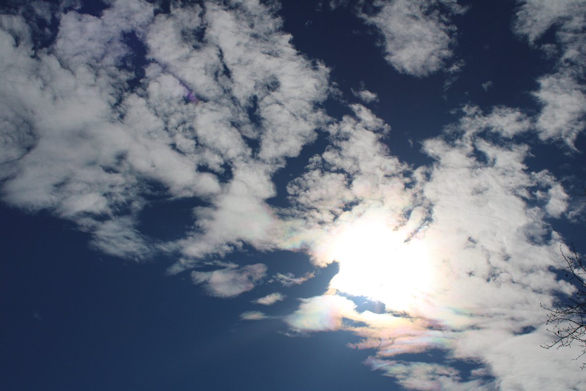 gaiacaptures's tweet photo. a beautiful day 🌼🌤

#photography #canonphotography #canon #NaturePhotography #photographer #sun #sundog #daffodil #daffodils #flowers #sky #clouds #sunny #skyphotography https://t.co/sgCC4L3v8b